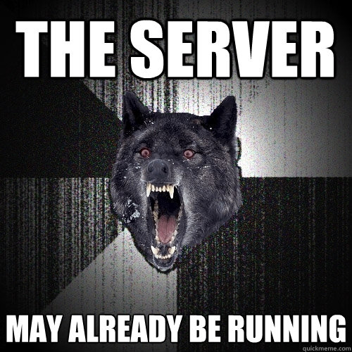 THE SERVER MAY ALREADY BE RUNNING  Insanity Wolf