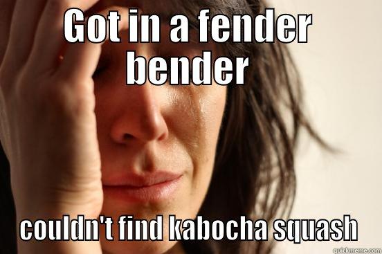 GOT IN A FENDER BENDER COULDN'T FIND KABOCHA SQUASH First World Problems