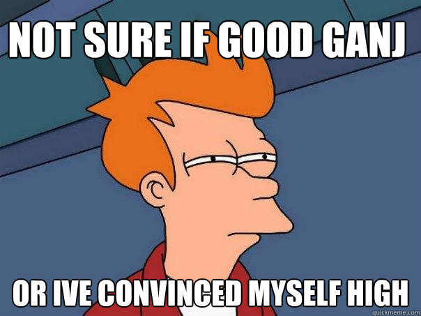 Not sure if good ganj Or ive convinced myself high  Futurama Fry