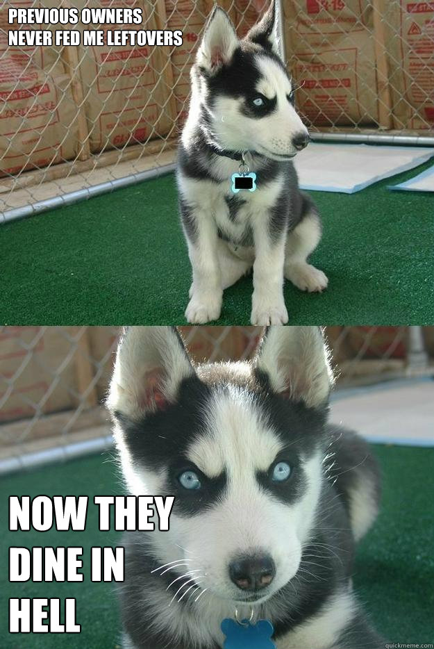 previous owners 
never fed me leftovers now they 
dine in 
hell  Insanity puppy