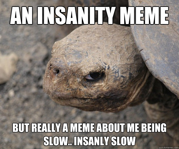 An Insanity Meme but really a meme about me being slow.. Insanly slow  Insanity Tortoise