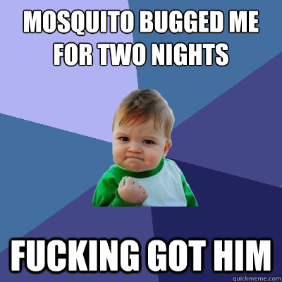 Mosquito bugged me for two nights Fucking got him  Success Kid