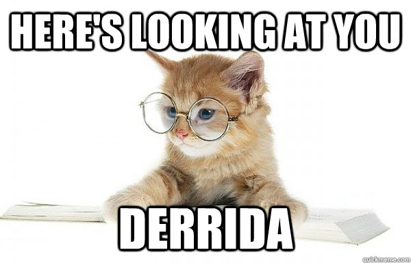 Here's Looking at you Derrida - Here's Looking at you Derrida  Cultural Studies Cat