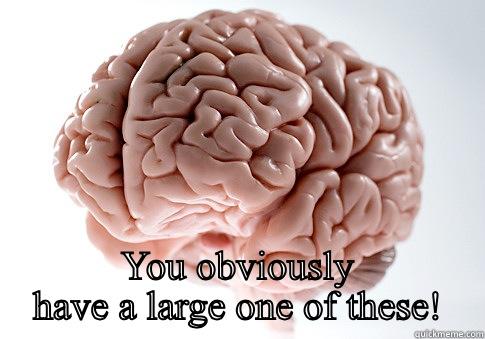  YOU OBVIOUSLY HAVE A LARGE ONE OF THESE! Scumbag Brain