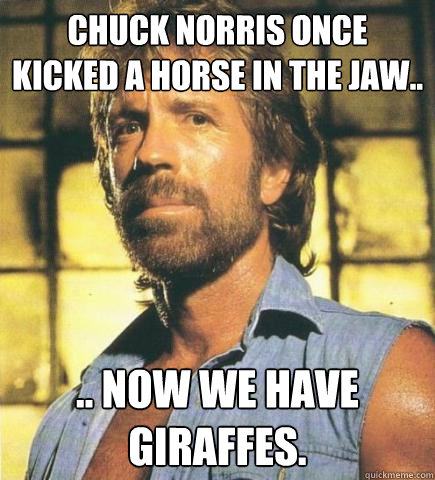 Chuck Norris once kicked a horse in the jaw.. .. now we have giraffes.  Chuck Norris Knows