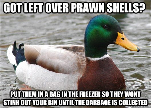 Got left over prawn shells? put them in a bag in the freezer so they wont stink out your bin until the garbage is collected    Actual Advice Mallard