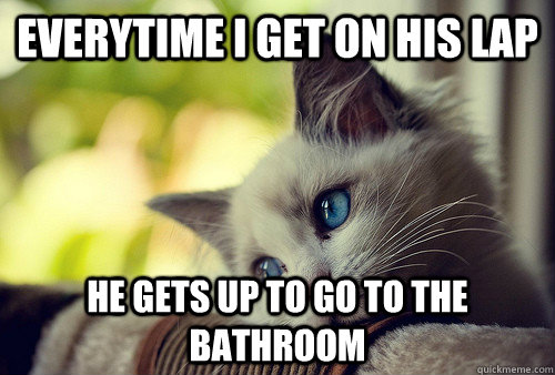 everytime i get on his lap he gets up to go to the bathroom  First World Problems Cat