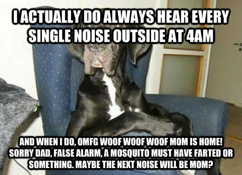 I ACTUALLY DO ALWAYS HEAR EVERY SINGLE NOISE OUTSIDE AT 4AM AND WHEN I DO, OMFG WOOF WOOF WOOF MOM IS HOME! 
SORRY DAD, FALSE ALARM, A MOSQUITO MUST HAVE FARTED OR SOMETHING. MAYBE THE NEXT NOISE WILL BE MOM?  The Most Interesting Dog in the World