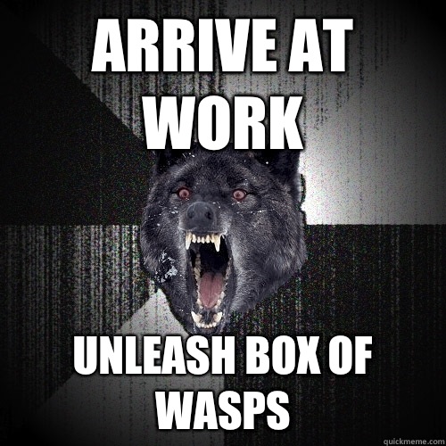 Arrive at work Unleash box of wasps - Arrive at work Unleash box of wasps  Insanity Wolf