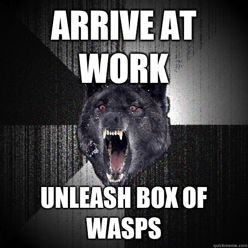 Arrive at work Unleash box of wasps  Insanity Wolf