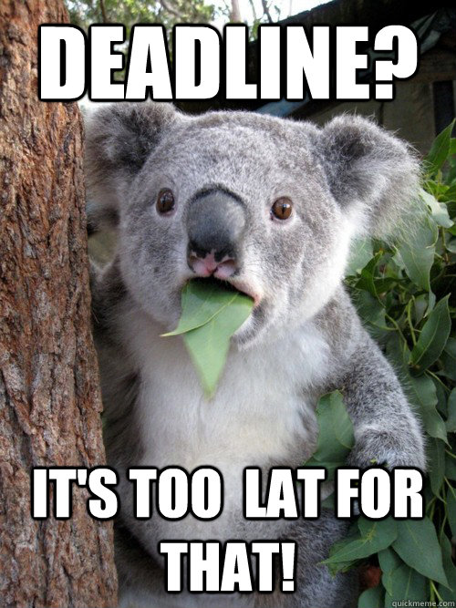 Deadline? it's too  LAT for that!  Surprised Koala