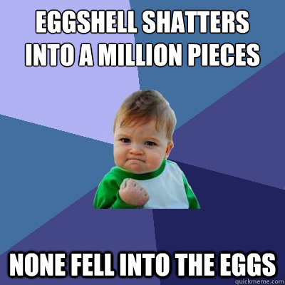 Eggshell shatters into a million pieces None fell into the eggs  Success Kid