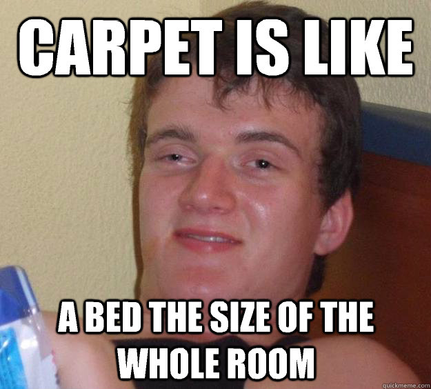 Carpet is like A bed the size of the whole room  10 Guy