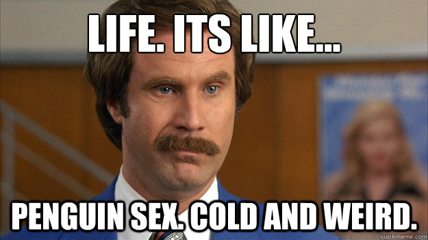 Life. Its like...
 Penguin sex. Cold and weird. - Life. Its like...
 Penguin sex. Cold and weird.  Misc