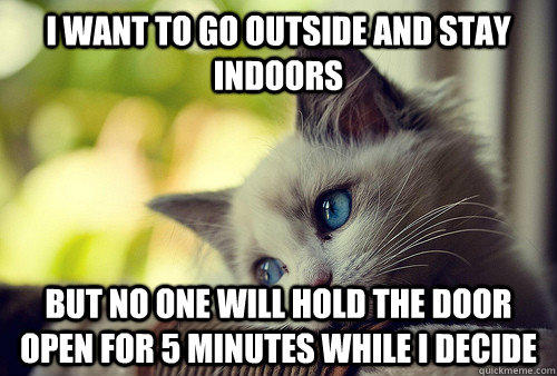 I want to go outside and stay indoors but no one will hold the door open for 5 minutes while i decide - I want to go outside and stay indoors but no one will hold the door open for 5 minutes while i decide  First World Problems Cat