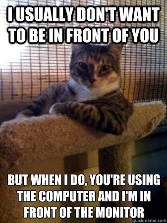 I usually don't want to be in front of you but when I do, you're using the computer and i'm in front of the monitor
 - I usually don't want to be in front of you but when I do, you're using the computer and i'm in front of the monitor
  The Most Interesting Cat in the World