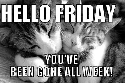 HELLO FRIDAY - HELLO FRIDAY   YOU'VE BEEN GONE ALL WEEK! Misc