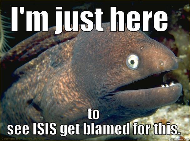 Blame ISIS - I'M JUST HERE  TO SEE ISIS GET BLAMED FOR THIS. Bad Joke Eel