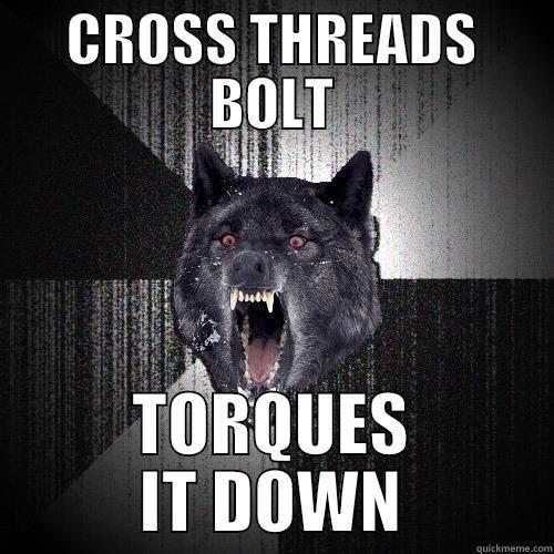 LIKE A BOSS - CROSS THREADS BOLT TORQUES IT DOWN Insanity Wolf