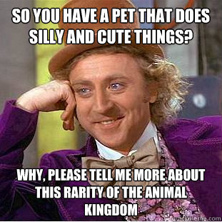 So you have a pet that does silly and cute things? Why, please tell me more about this rarity of the animal kingdom  Creepy Wonka