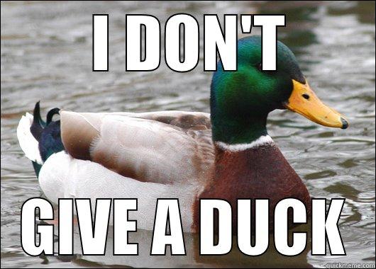  I DON'T GIVE A DUCK Actual Advice Mallard