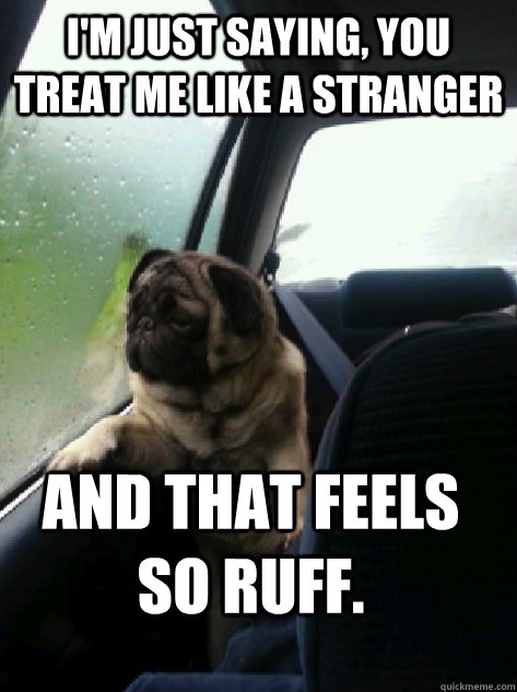 I'm just saying, you treat me like a stranger and that feels so ruff.  - I'm just saying, you treat me like a stranger and that feels so ruff.   Introspective Pug