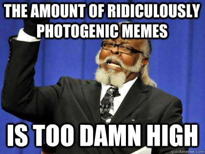 The amount of ridiculously photogenic memes is too damn high  