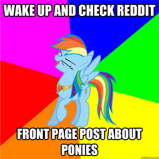 Wake up and check reddit Front page post about ponies  Aww Yea Rainbow Dash