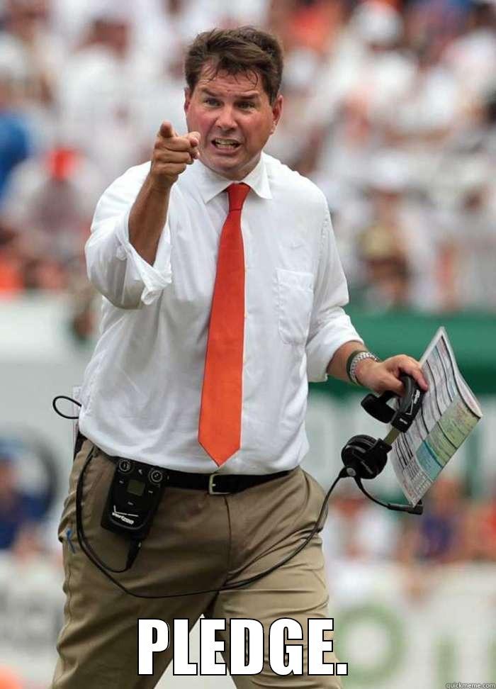 AL GOLDY -  PLEDGE. Misc