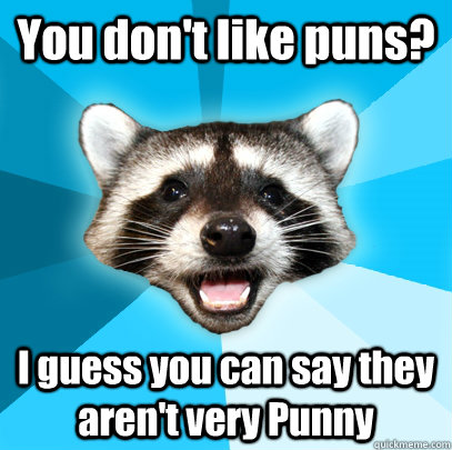 You don't like puns? I guess you can say they aren't very Punny  Lame Pun Coon