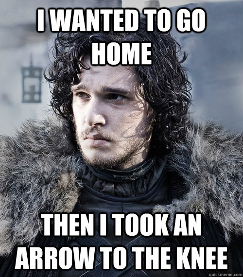 I wanted to go home then i took an arrow to the knee  Jon Snow
