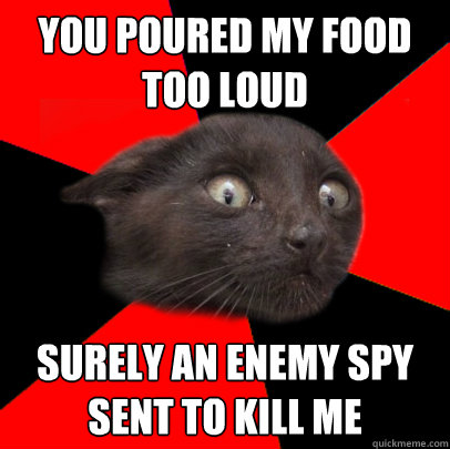 You poured my food too loud surely an enemy spy sent to kill me  Scaredy cat