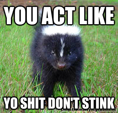 YOU ACT LIKE YO SHIT DON'T STINK - YOU ACT LIKE YO SHIT DON'T STINK  skunk stank
