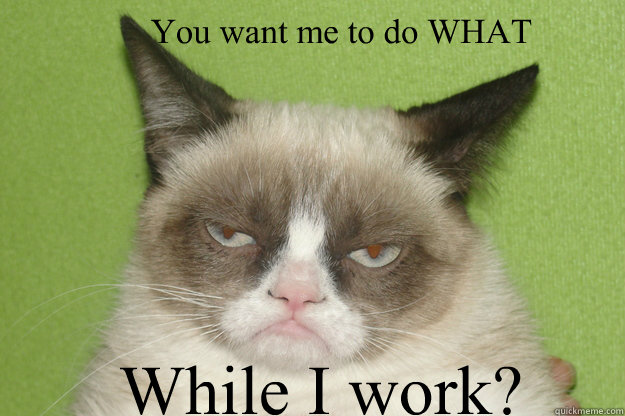      You want me to do WHAT  While I work? -      You want me to do WHAT  While I work?  GrumpyCat1