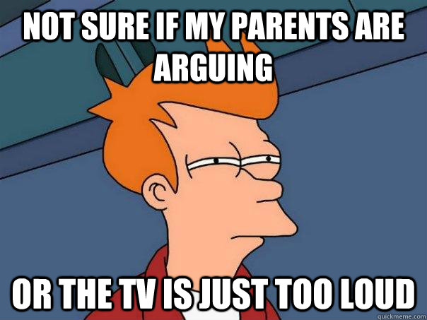 Not sure if my parents are arguing Or the tv is just too loud  Futurama Fry
