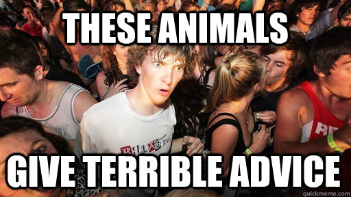 These animals give terrible advice  Sudden Clarity Clarence