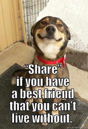 Wanna be my bestie? -  “SHARE” IF YOU HAVE A BEST FRIEND THAT YOU CAN’T LIVE WITHOUT.  Good Dog Greg