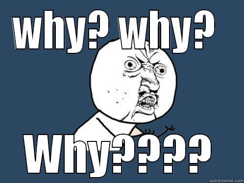 WHY? WHY?  WHY???? Y U No