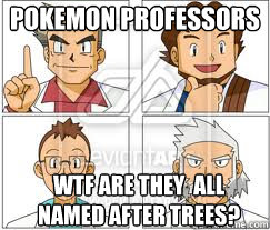 POKEMON PROFESSORS WTF ARE THEY  ALL NAMED AFTER TREES? - POKEMON PROFESSORS WTF ARE THEY  ALL NAMED AFTER TREES?  Misc
