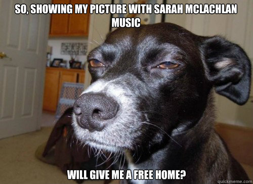 So, showing my picture with sarah mclachlan music will give me a free home?  
