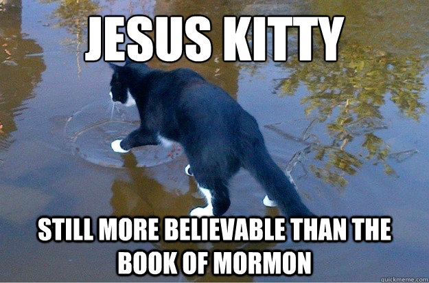 jesus kitty still more believable than the book of mormon  Jesus Cat