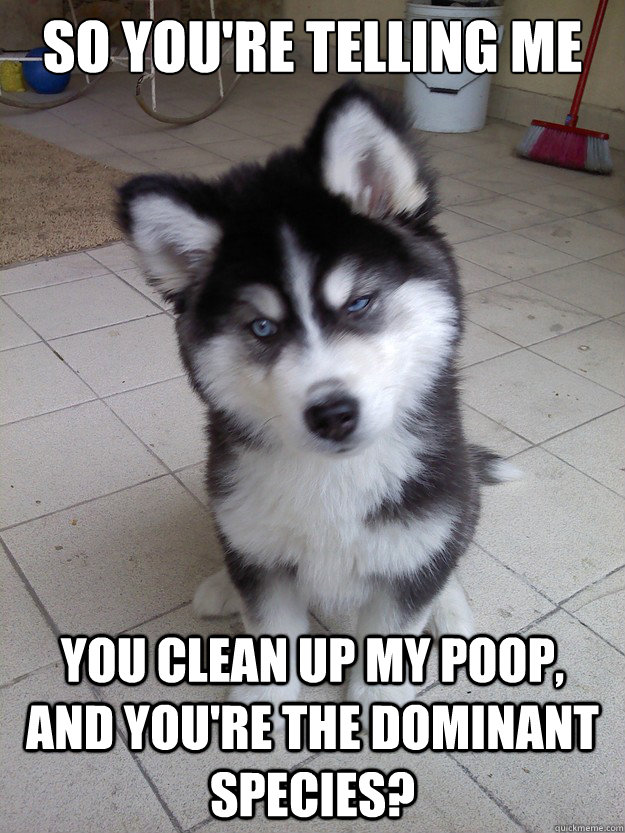 So you're telling me you clean up my poop, and you're the dominant species?  Skeptical Newborn Puppy