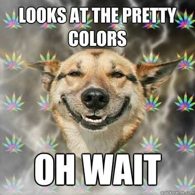 looks at the pretty colors oh wait  Stoner Dog