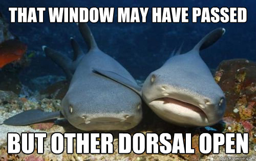 that window may have passed but other dorsal open  Compassionate Shark Friend