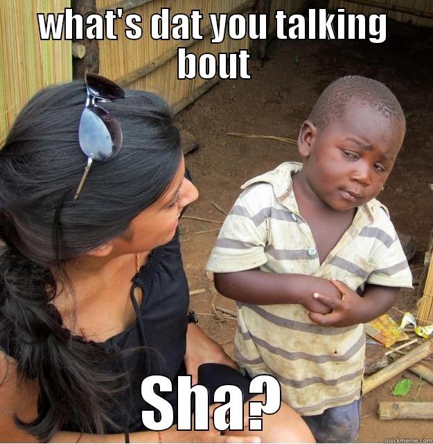 WHAT'S DAT YOU TALKING BOUT SHA? Skeptical Third World Kid