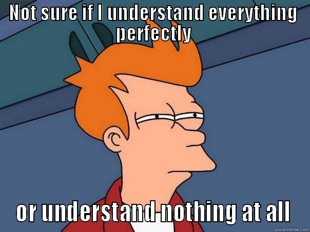 This is the face my students make when I ask them about subordinating conjunctions - NOT SURE IF I UNDERSTAND EVERYTHING PERFECTLY OR UNDERSTAND NOTHING AT ALL Futurama Fry