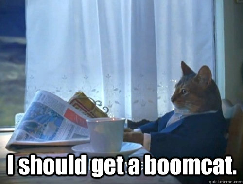  I should get a boomcat.  Rich cat is rich