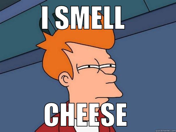 I SMELL  CHEESE Futurama Fry