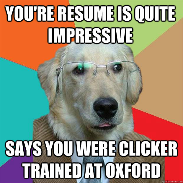 You're resume is quite impressive Says you were clicker  trained at Oxford  Business Dog