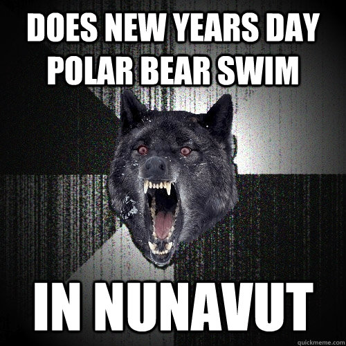 DOES NEW YEARS DAY POLAR BEAR SWIM IN NUNAVUT  Insanity Wolf